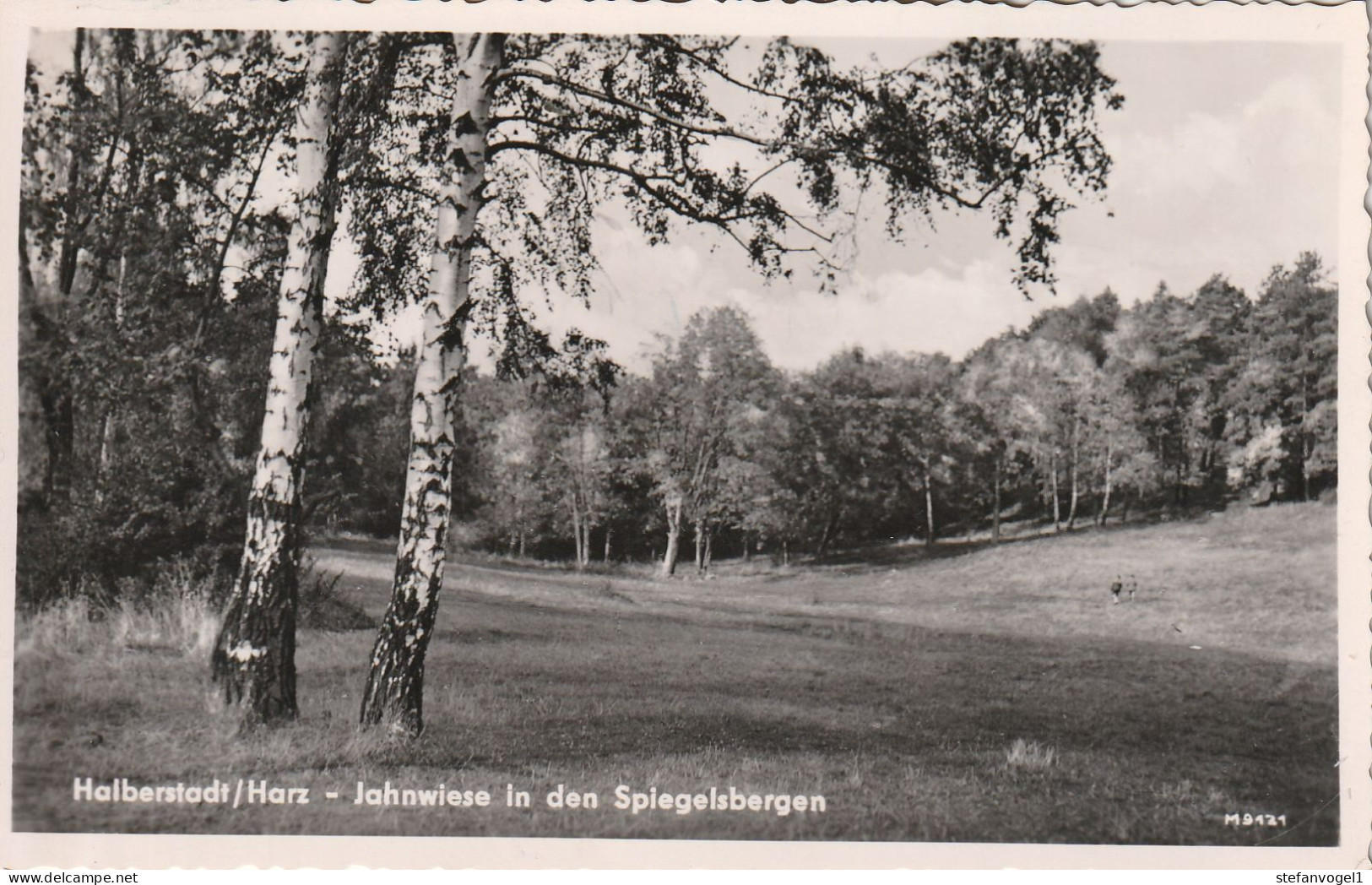 Halberstadt   1962  Jahnwiese - Halberstadt