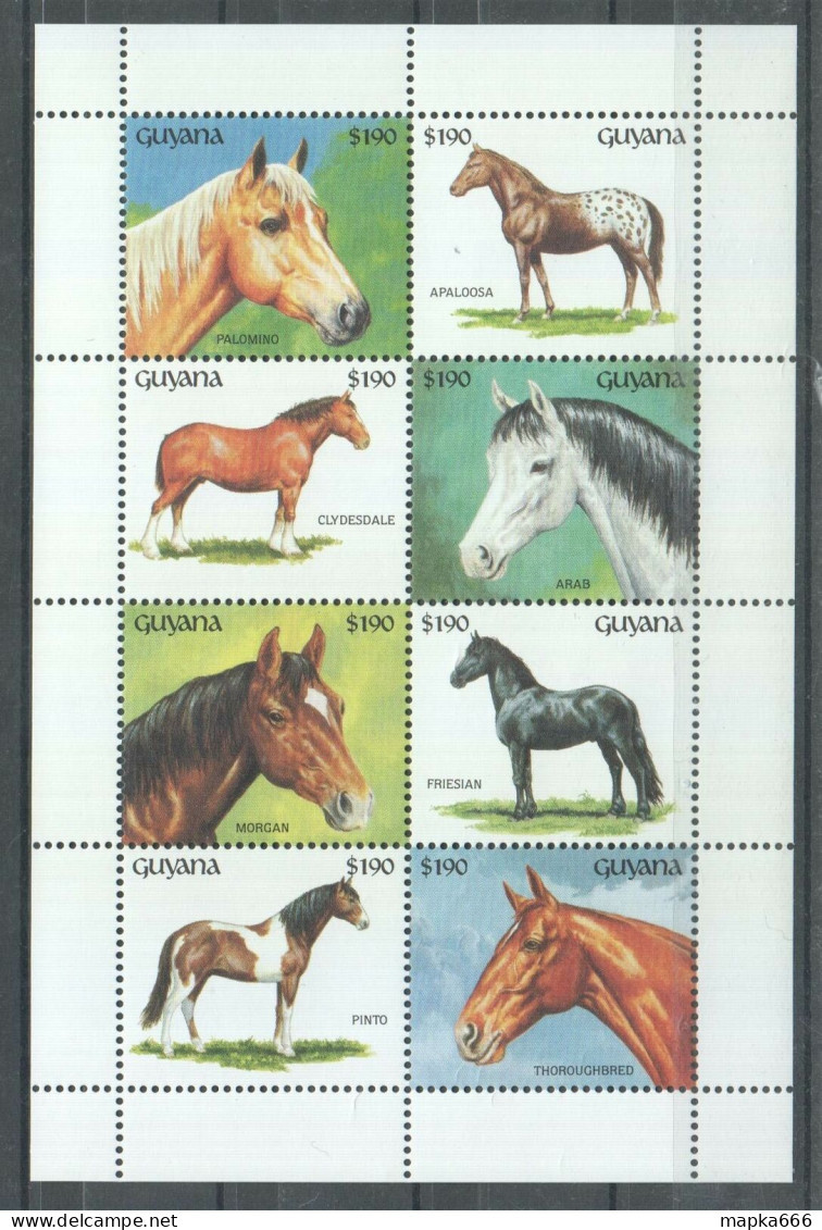 Nw0638 Guyana Horses Fauna Domestic Farm Animals 1Kb Mnh - Pferde