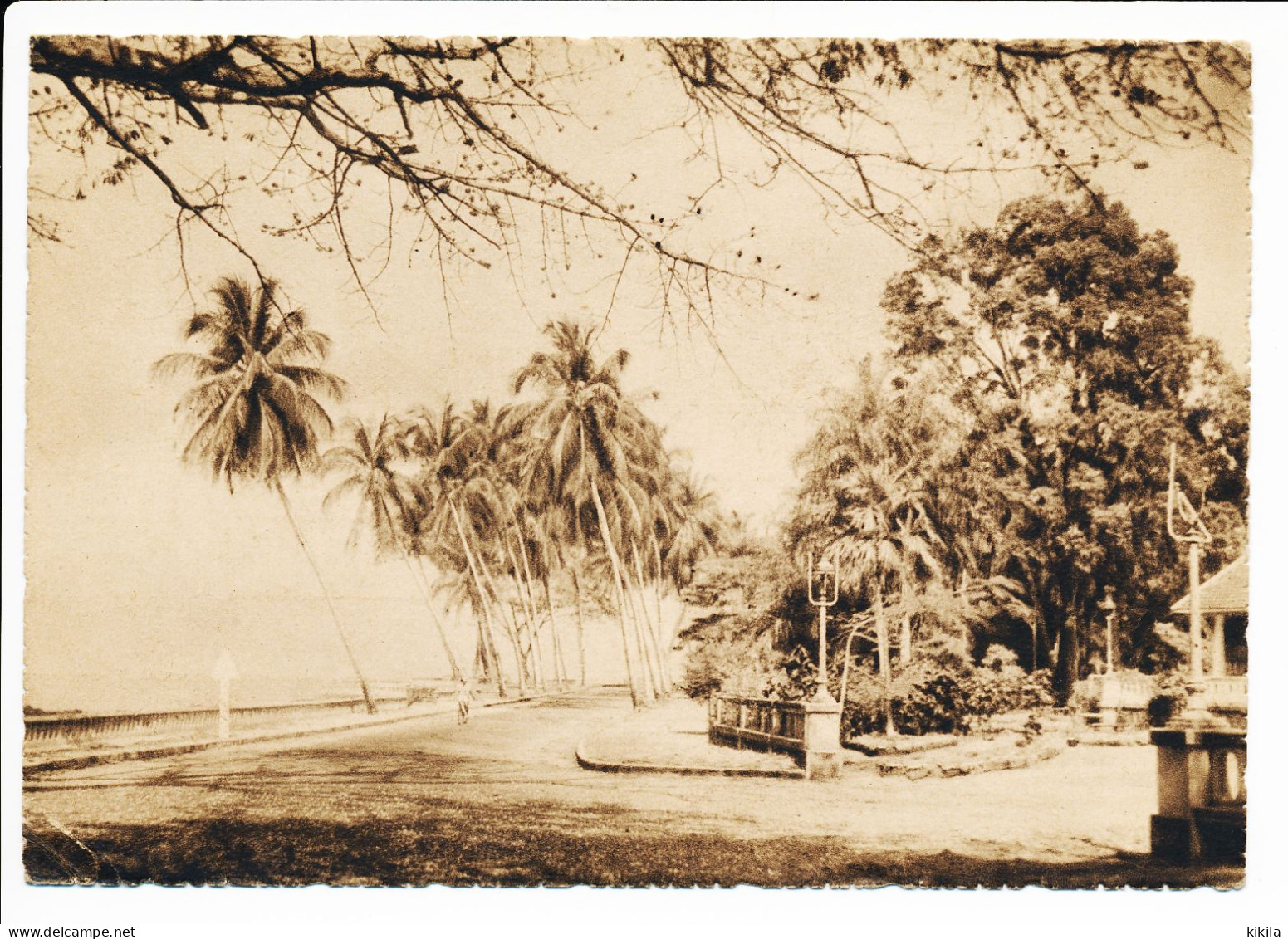 CPSM Dentelée 10.5 X 15 Guinée CONAKRY La Corniche - Guinea