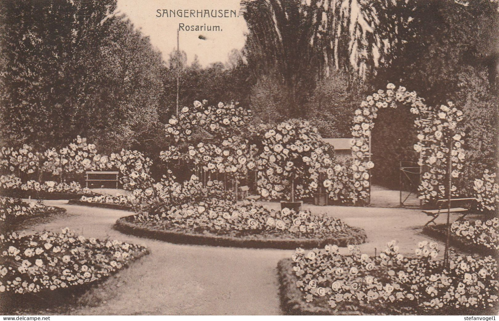 Sangerhausen   Gel. 1916  Rosarium - Sangerhausen
