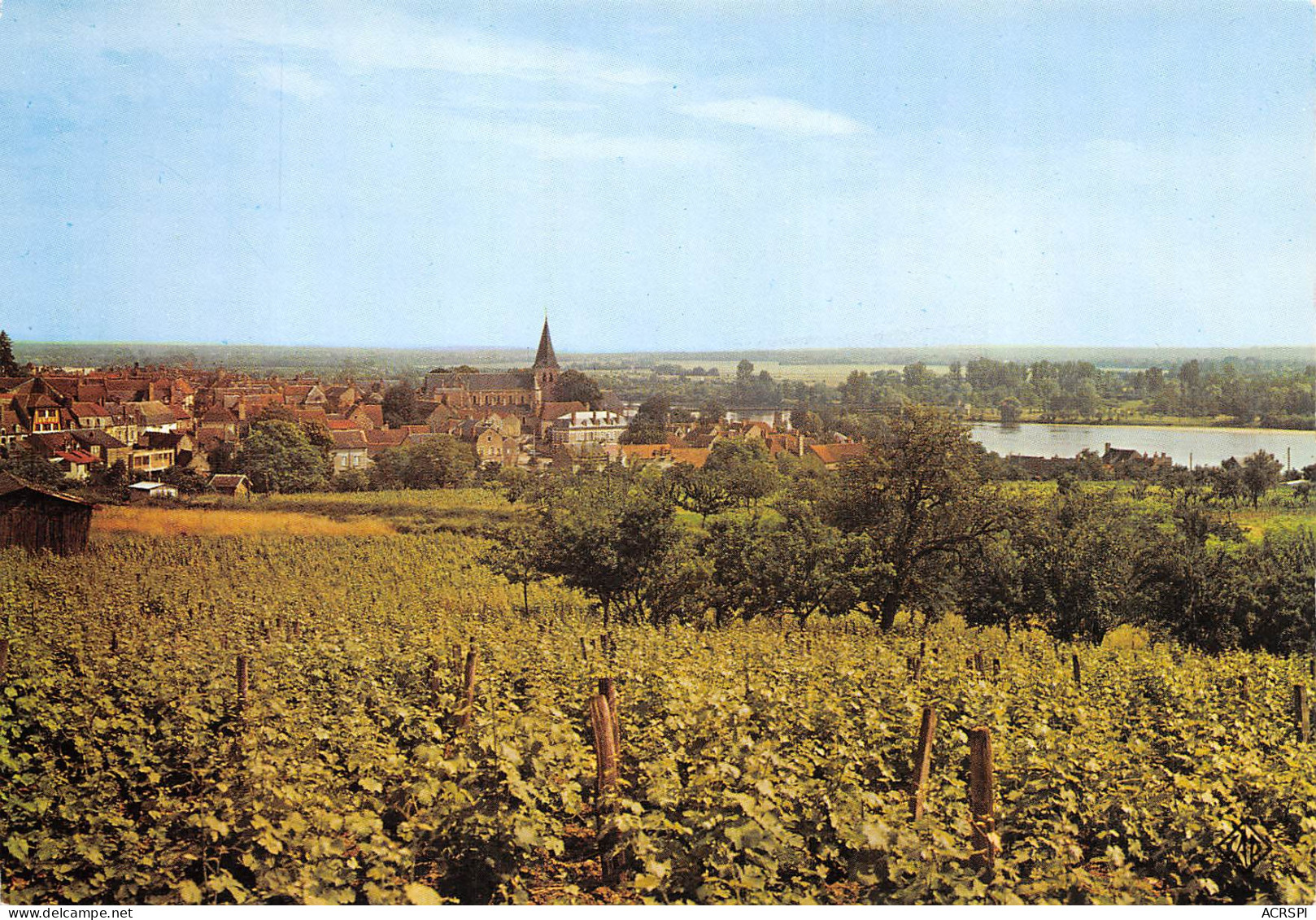 POUILLY Sur LOIRE Vue Générale Prise Des Vignobles   24 (scan Recto Verso)MF2764VIC - Pouilly Sur Loire