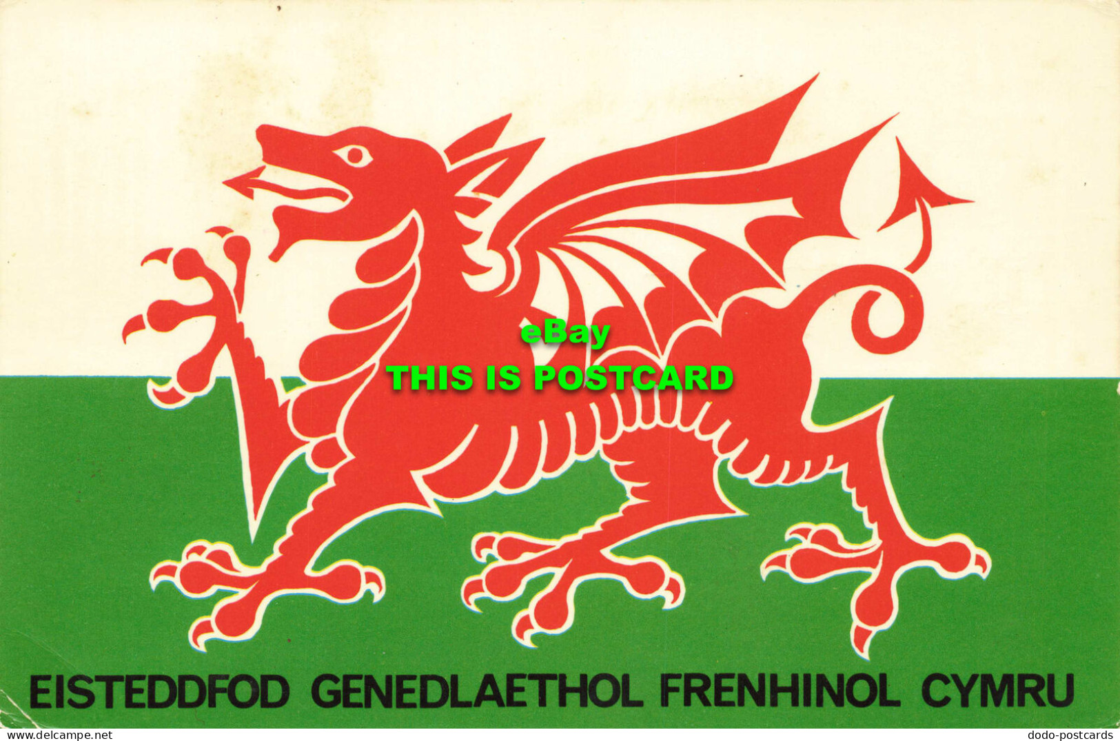 R581865 Eisteddfod Genedlaethol Frenhinol Cymru. Photo Precision - Welt