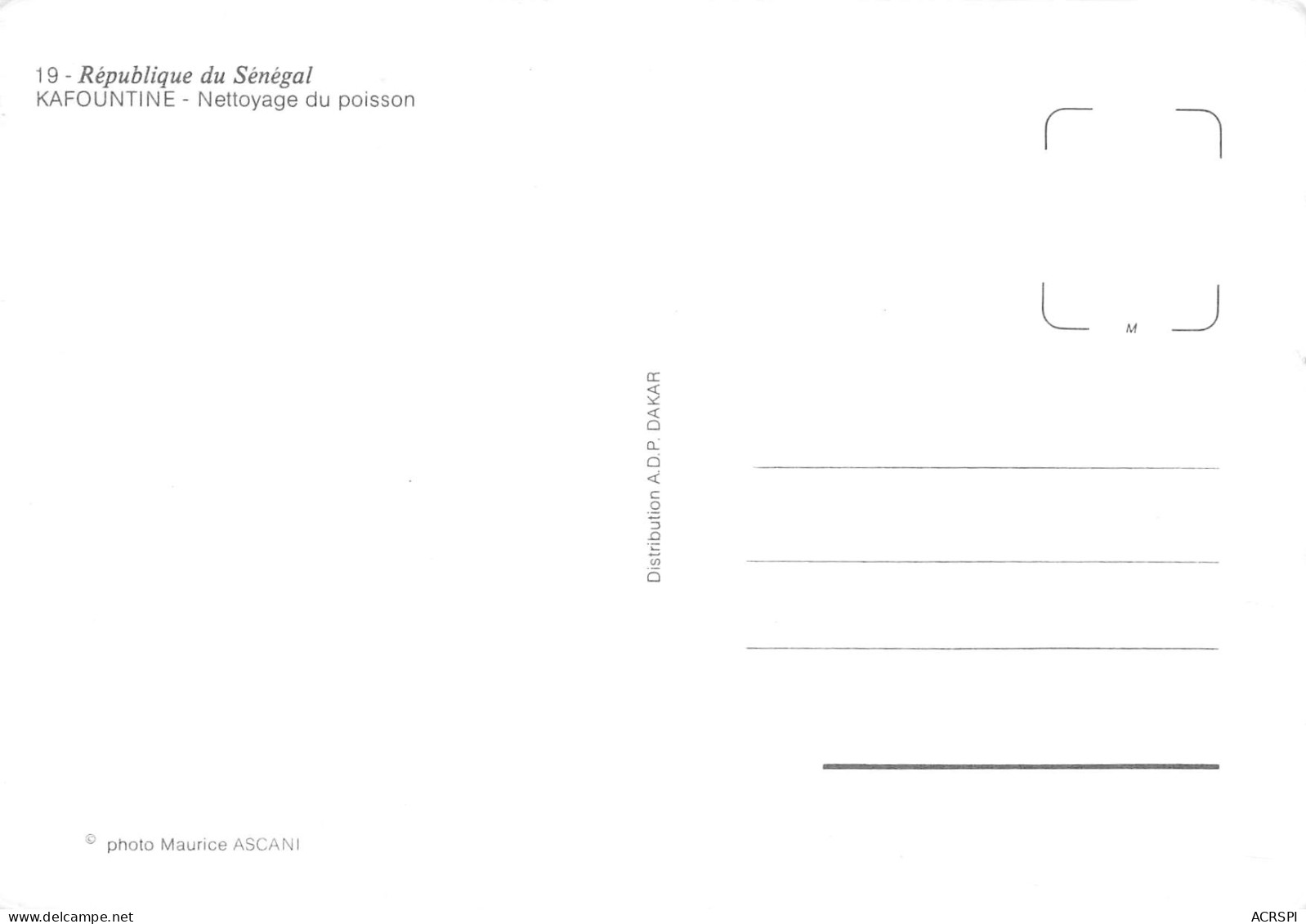 SENEGAL KAFOUNTINE Nettoyage Du Poisson   34 (scan Recto Verso)MF2769VIC - Senegal