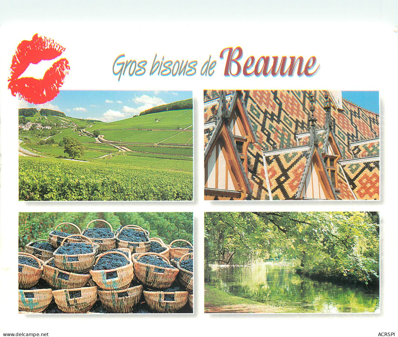 BEAUNE Le Vignoble Les Hospice De Beaune 7(scan Recto Verso)MF2771 - Beaune