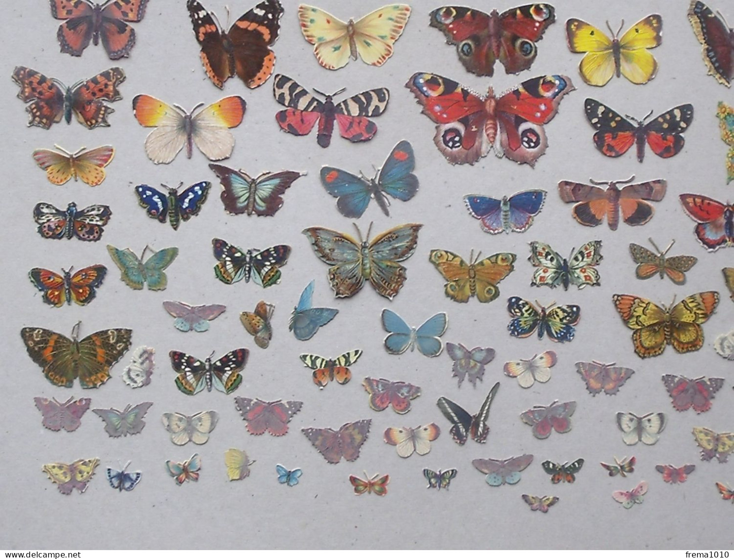 CHROMO DECOUPIS: PAPILLON Lot + De 100 Différents Même Thème - Tous Formats Multicolores PAPILLONS LEPIDOPTERISTE - Dieren