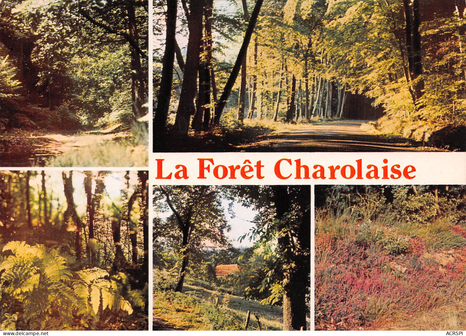 71  CHAROLLES La Foret Charolaises   53 (scan Recto Verso)MF2773TER - Charolles