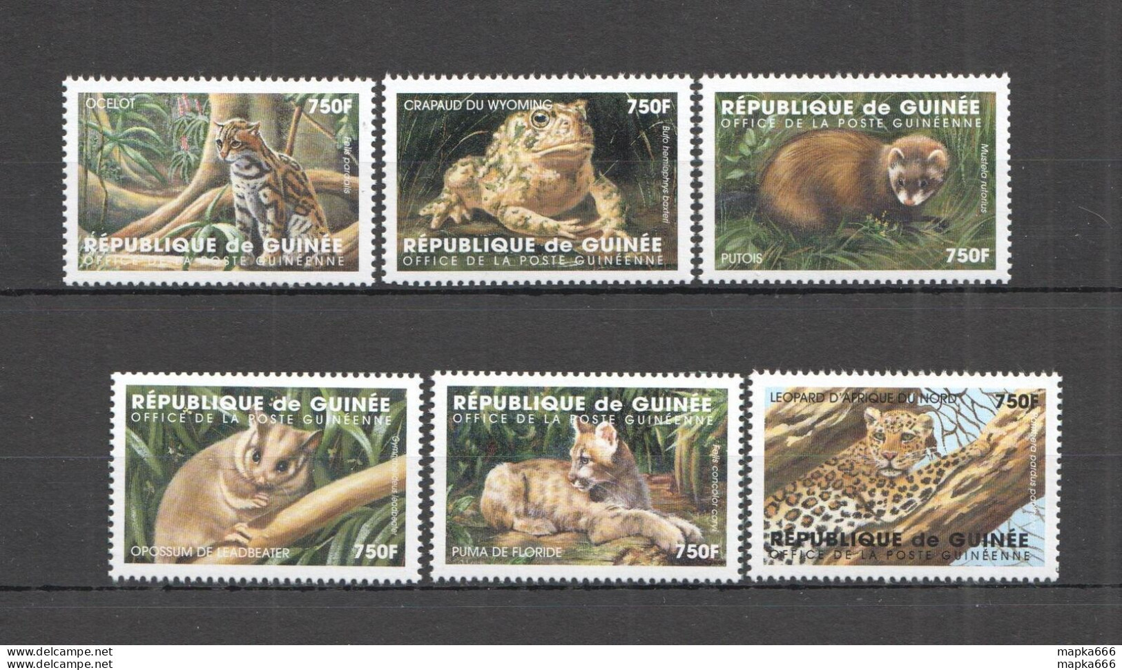 A0969 Guinea Fauna Endangered Wild Animals Of The World Extinction Set Mnh - Autres & Non Classés