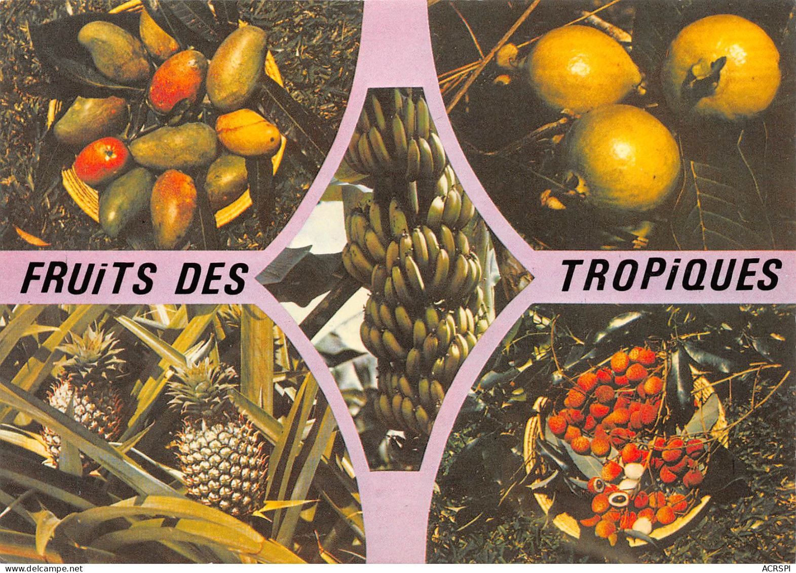 RECETTE  Les Fruits Des Tropiques  52 (scan Recto Verso)MF2774UND - Recipes (cooking)