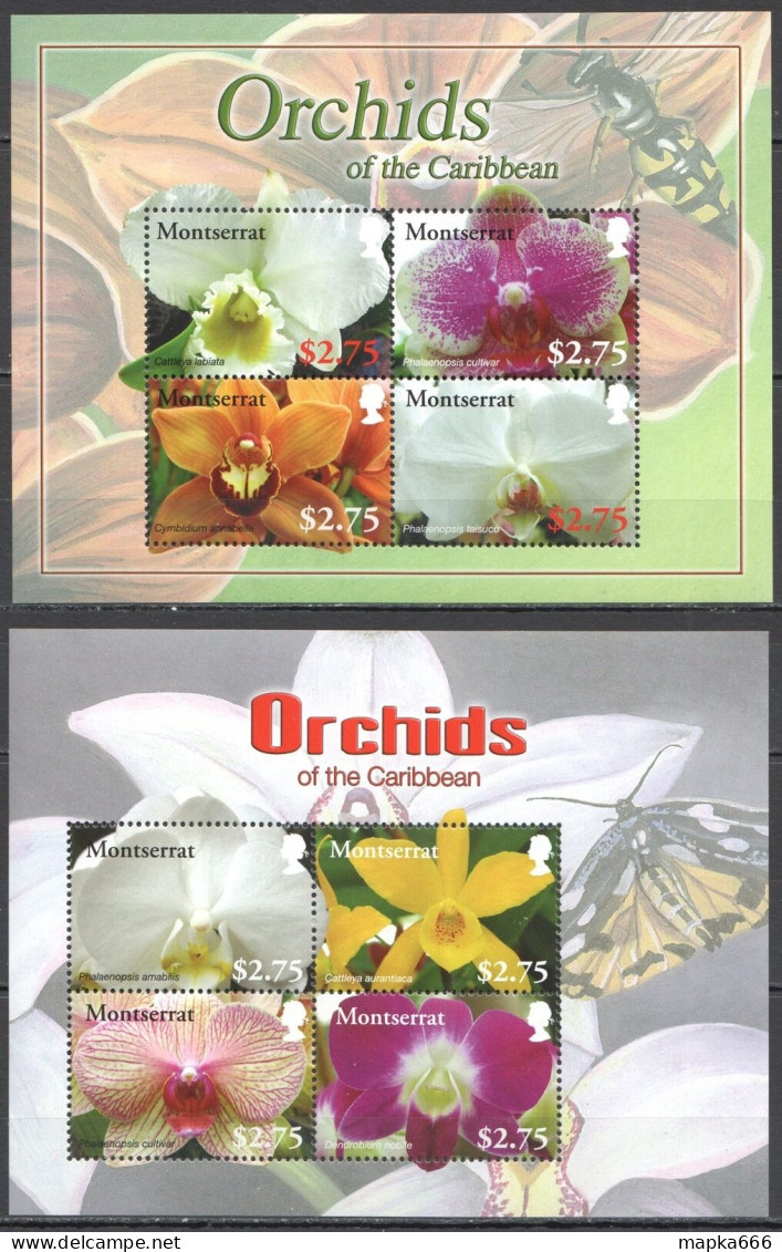 Ft069 2008 Montserrat Orchids Caribbean Flowers #1436-43 Michel 19 Euro 2Kb Mnh - Orchidee