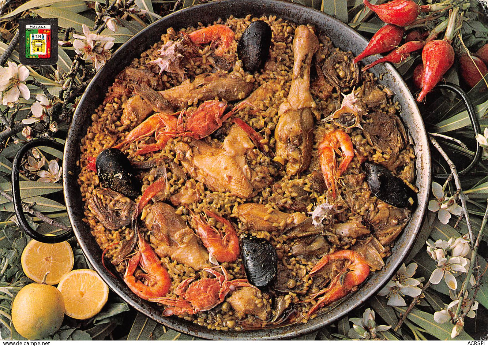 RECETTE De La PAELLA Malaga Costa Del Sol  37 (scan Recto Verso)MF2775BIS - Recepten (kook)