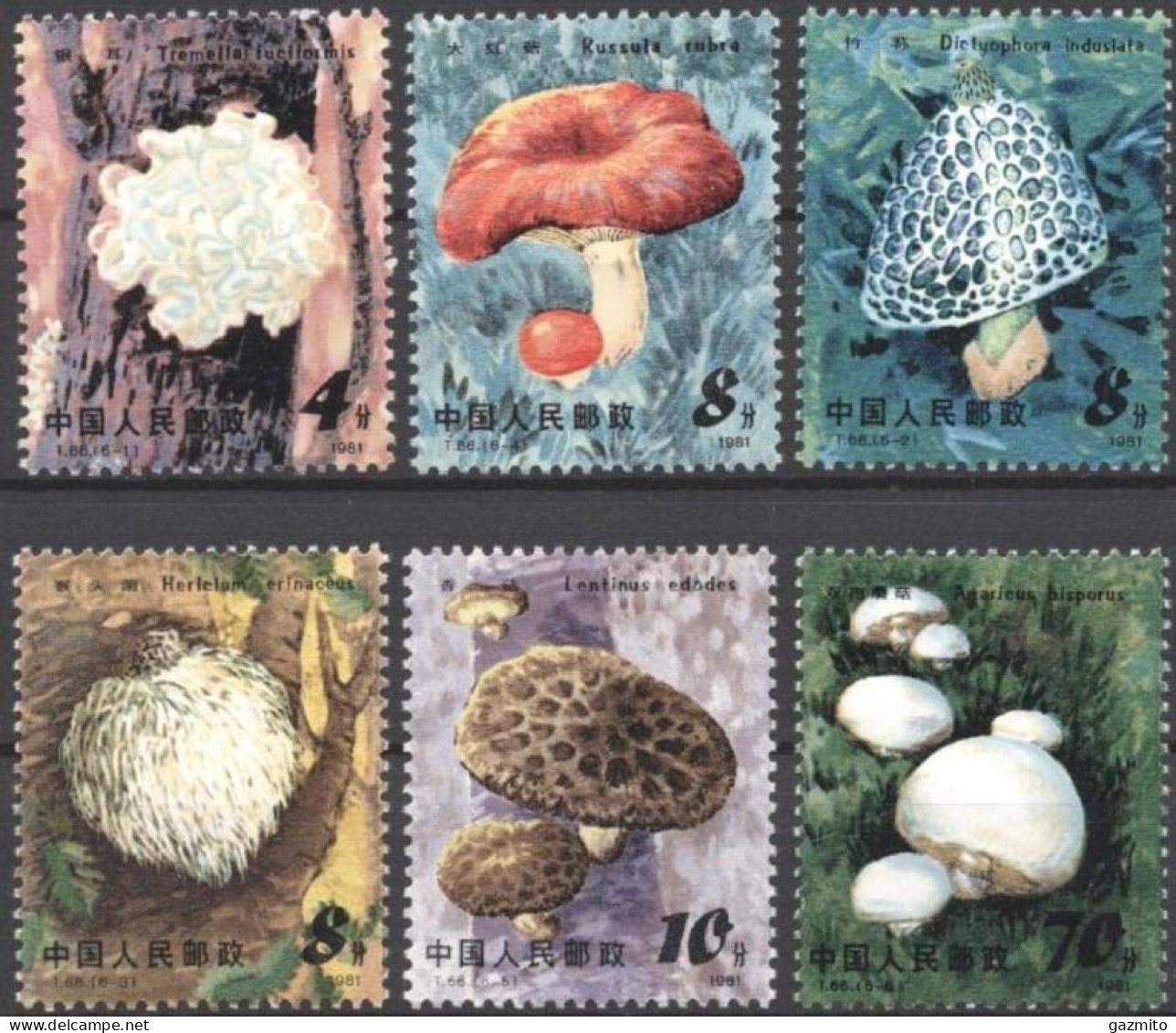 China 1981, Mushrooms, 6val - Nuevos