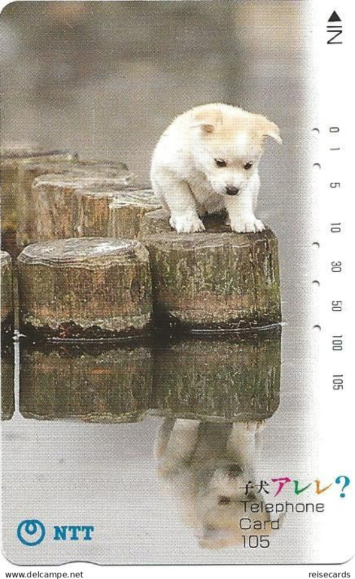 Japan: NTT - 391-074 Little Dog - Japan