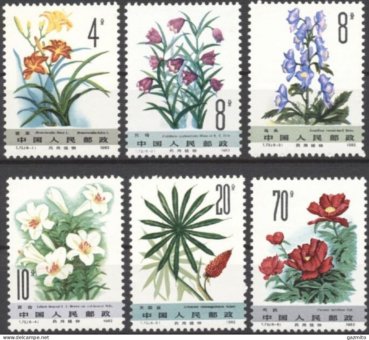 China 1982, Medicinal Plants, 6val - Nuevos