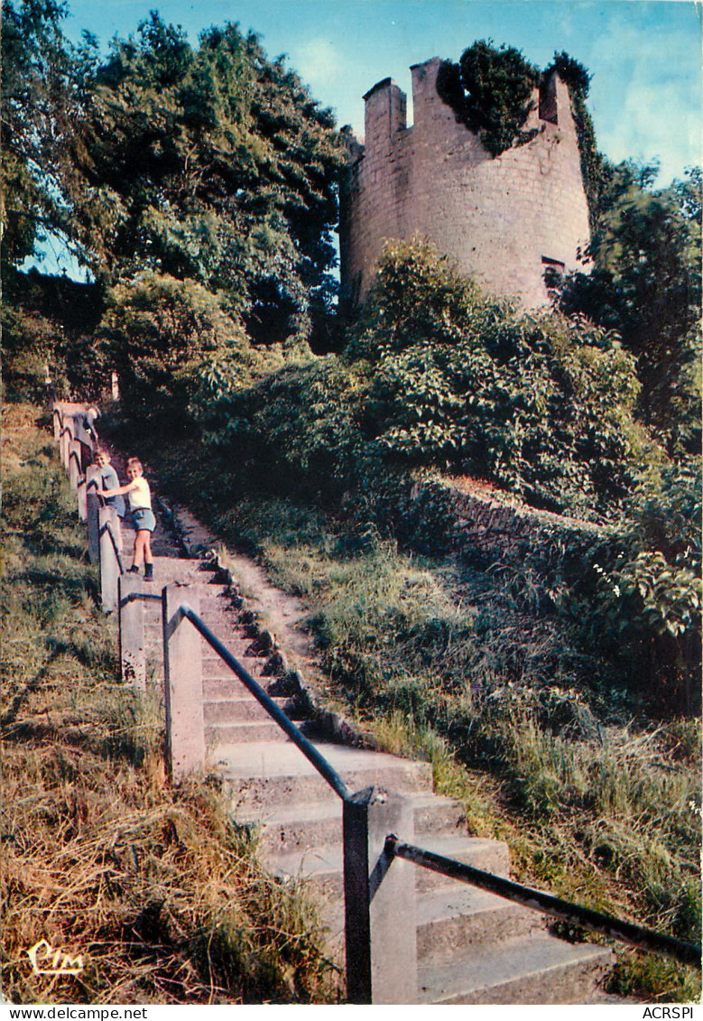 CHATILLON SUR SEINE Ruine Du Chateau Des Ducs De Bourgogne 10(scan Recto Verso)MF2784 - Chatillon Sur Seine