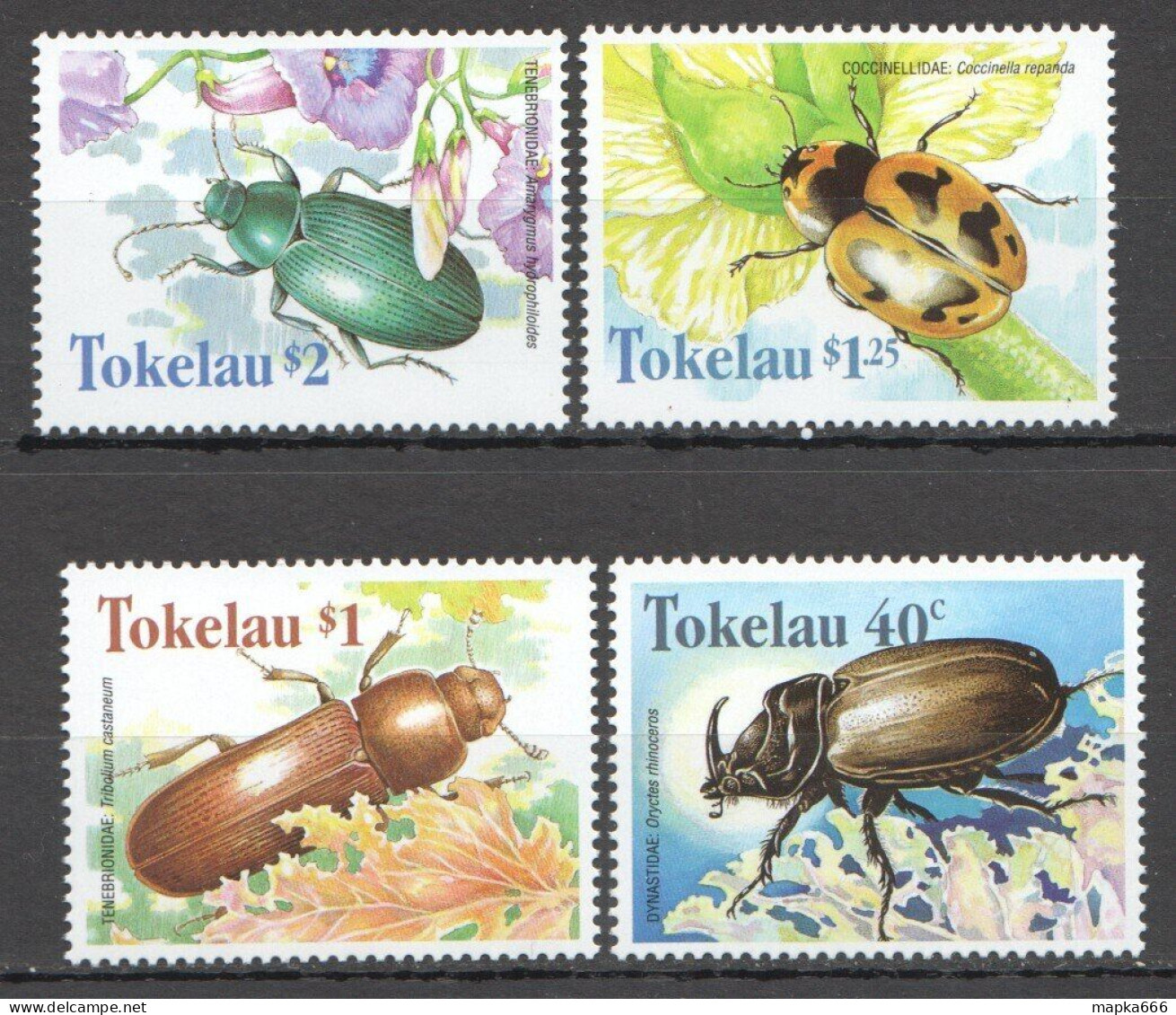 Ft159 1998 Tokelau Insects Beetles Flora Fauna #266-269 Set Mnh - Sonstige & Ohne Zuordnung