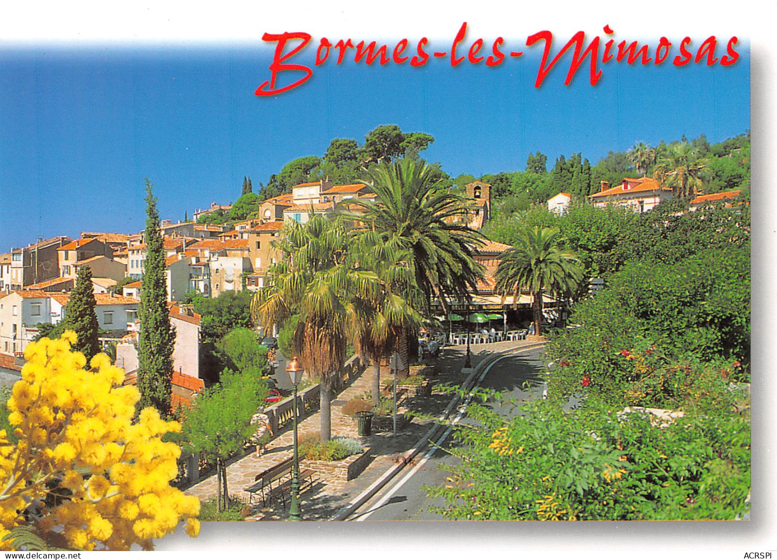 BORMES LES MIMOSAS  Vue Générale  4 (scan Recto Verso)MF2795BIS - Bormes-les-Mimosas