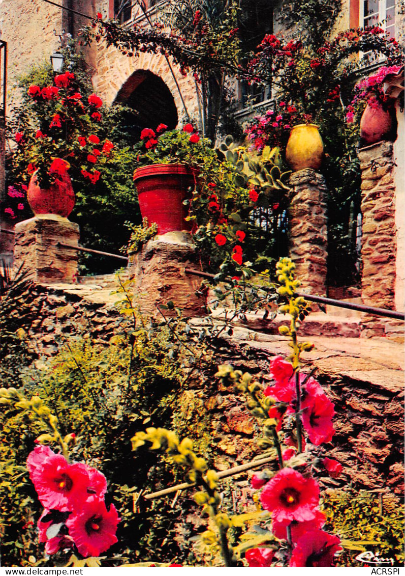 BORMES LES MIMOSAS Vieilles Maisons Fleuries  39 (scan Recto Verso)MF2795BIS - Bormes-les-Mimosas