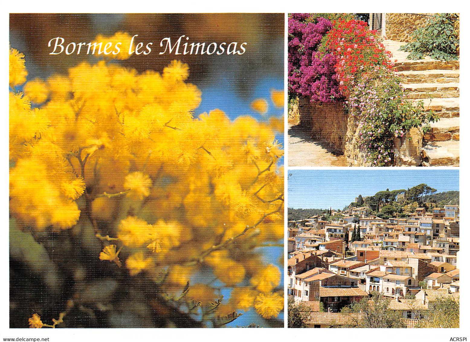 BORMES LES MIMOSAS  Multivue Et Mimosas  46 (scan Recto Verso)MF2795BIS - Bormes-les-Mimosas
