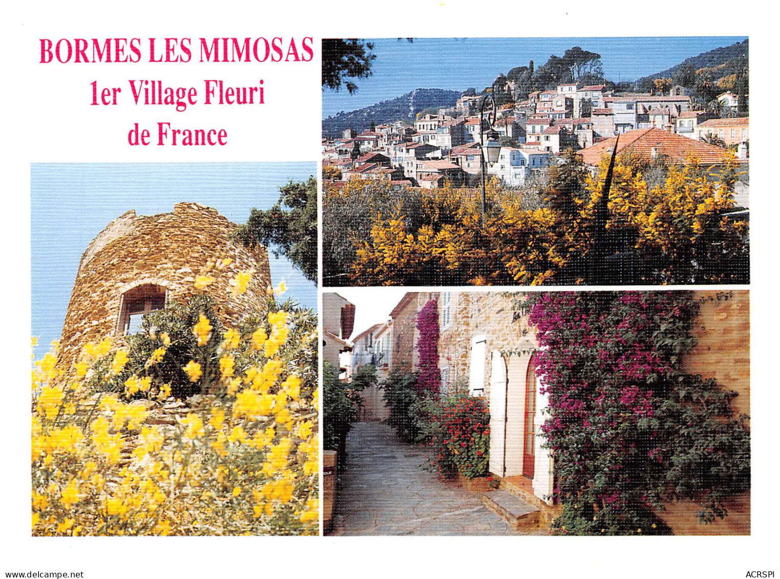 BORMES LES MIMOSAS  Multivue   47 (scan Recto Verso)MF2795BIS - Bormes-les-Mimosas