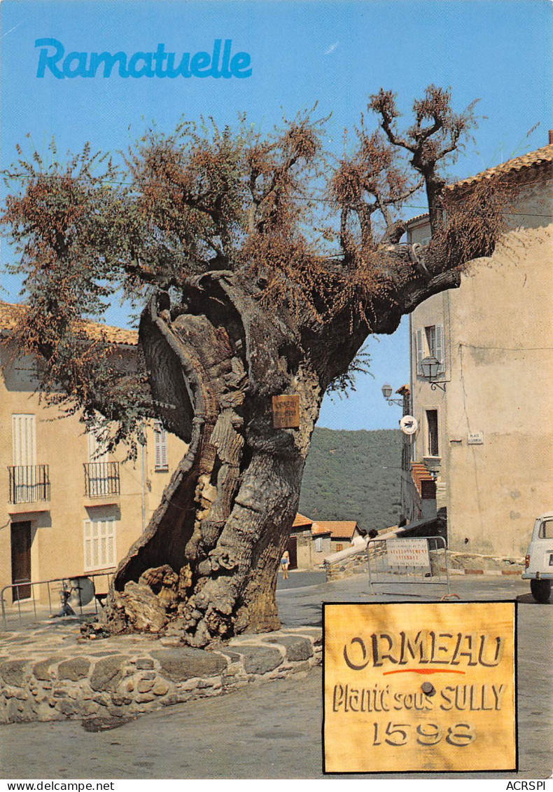 RAMATUELLE L'Ormeau Planté Sous SULLY  33 (scan Recto Verso)MF2795VIC - Ramatuelle