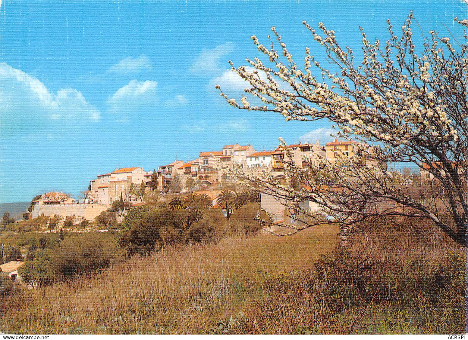 LE CASTELLET Village Fleuri Vue Générale  20 (scan Recto Verso)MF2796 - Le Castellet