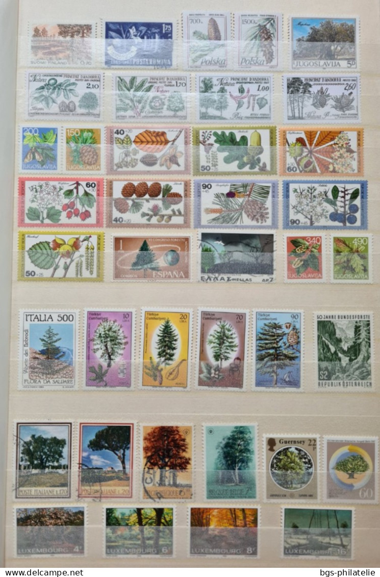 Collection De Timbres Sur Le Thème Des Arbres. - Collections (sans Albums)