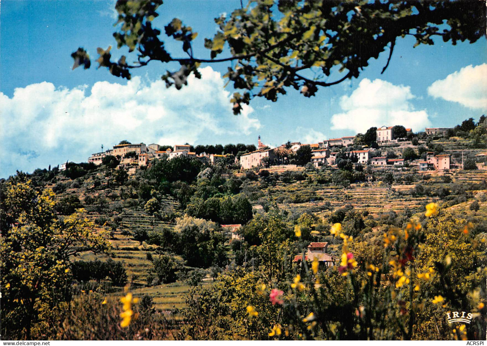 83 MONTAUROUX  échapée Sur Le Village 15 (scan Recto Verso)MF2796UND - Montauroux