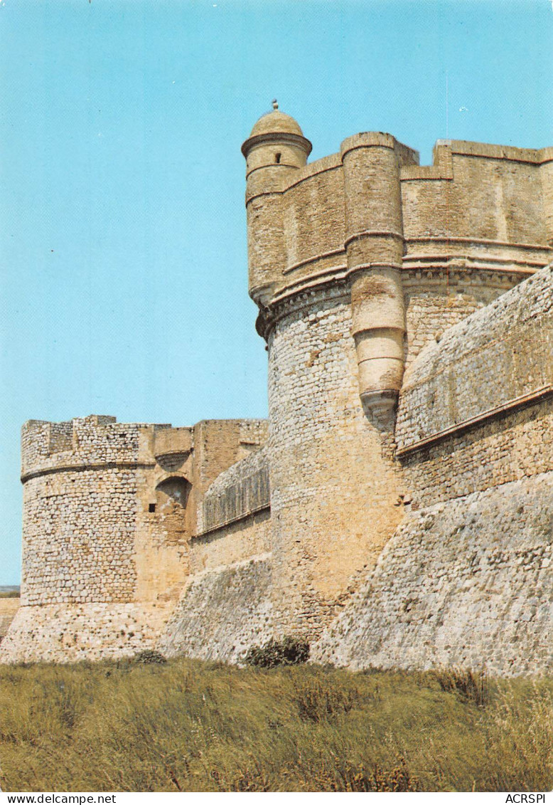 66 SALSES Le Chateau Fort élévation Du Donjon Et Fossé Ouest  45 (scan Recto Verso)MF2797 - Salses
