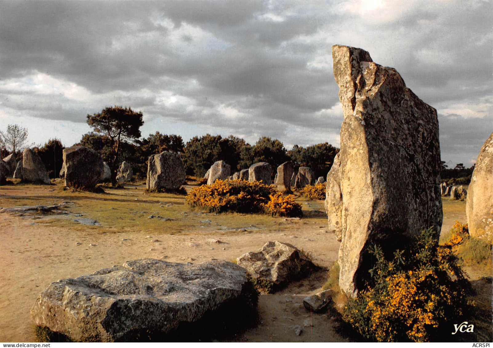 CARNAC  Alignement De KERMARIO  Menhirs  47 (scan Recto Verso)MF2797VIC - Carnac