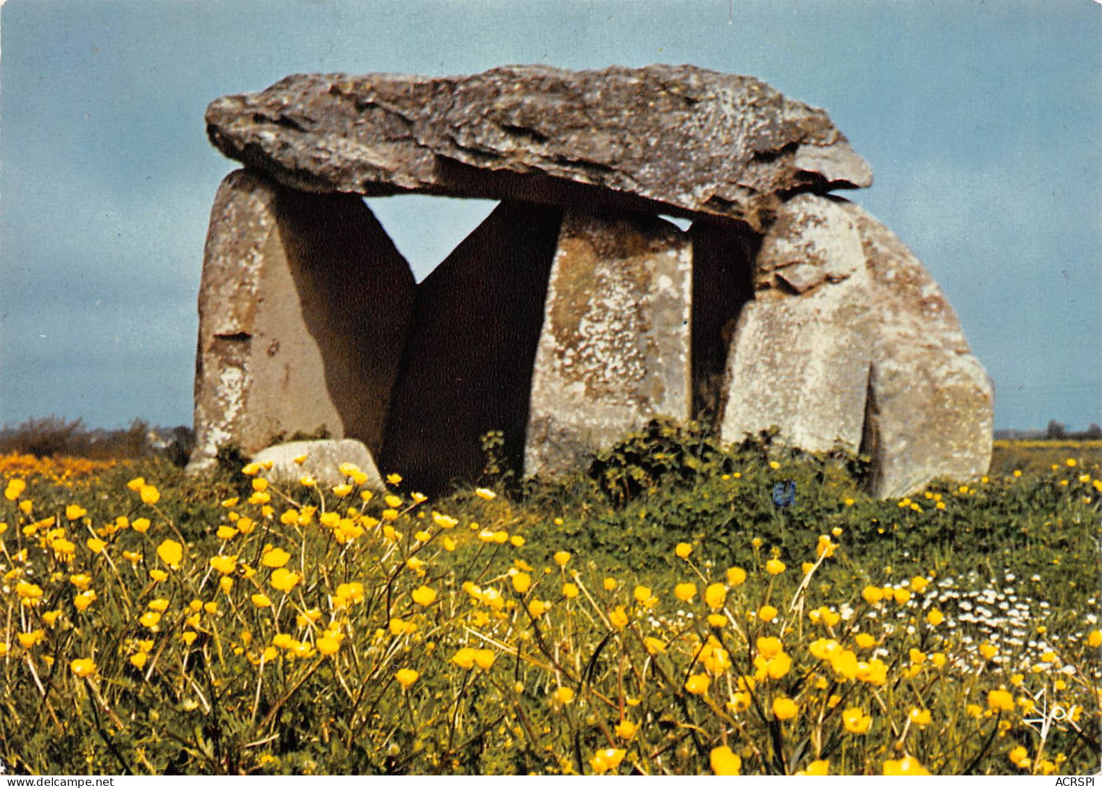 LOCMARIAQUER  Le Dolmen De KERCADORET  9 (scan Recto Verso)MF2798 - Locmariaquer