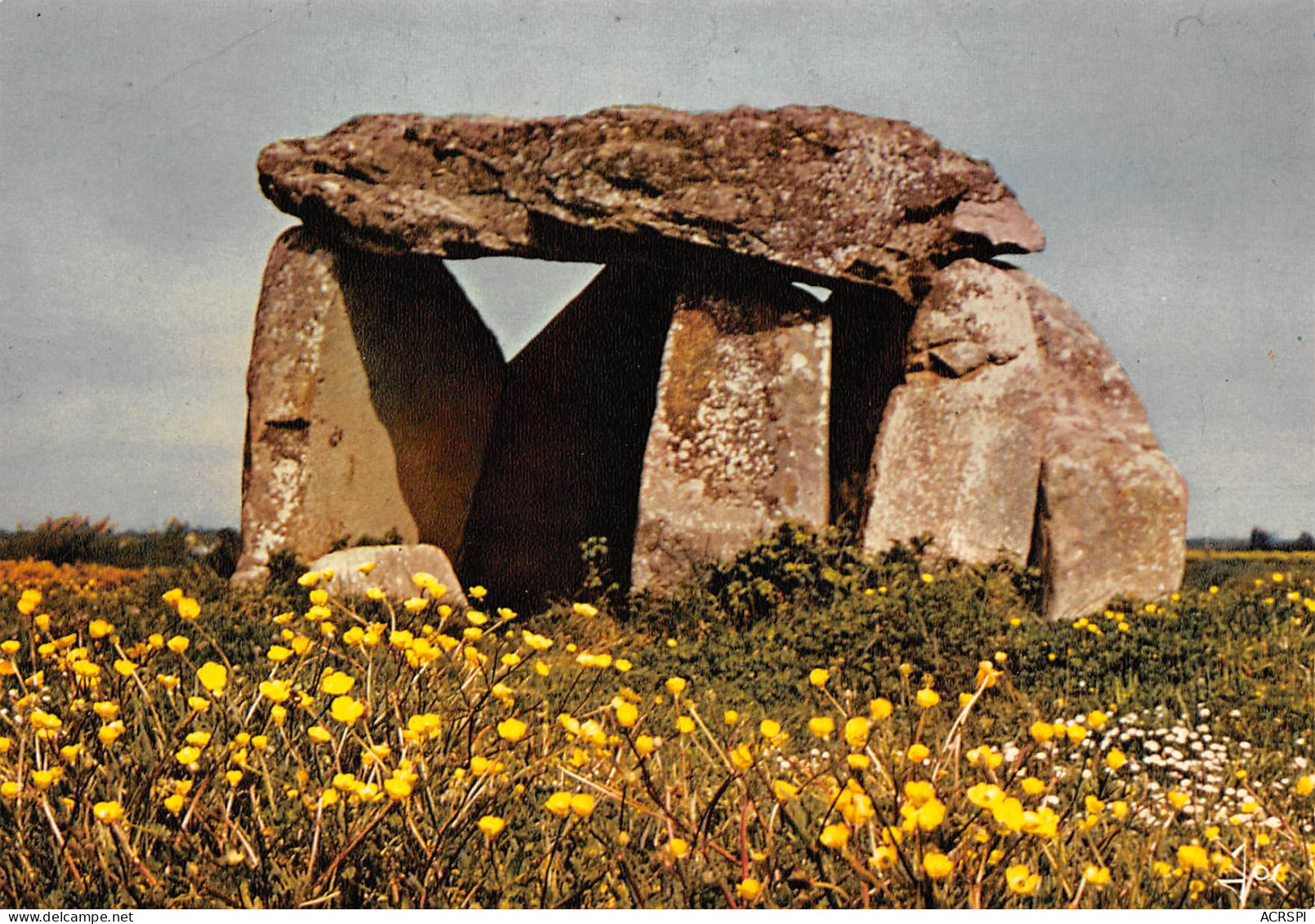 LOCMARIAQUER  Le Dolmen De KERCADORET   12 (scan Recto Verso)MF2798 - Locmariaquer