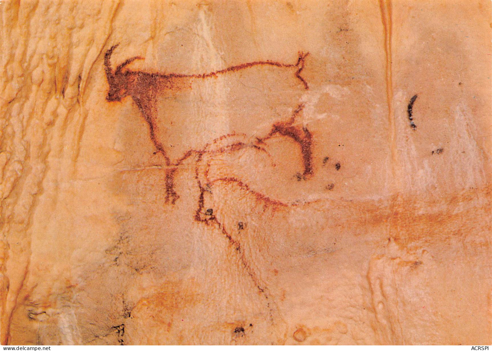 46  GOURDON Grottes Prehistorique De COUGNAC Couple De Bouquetins  9  (scan Recto Verso)MF2798VIC - Gourdon