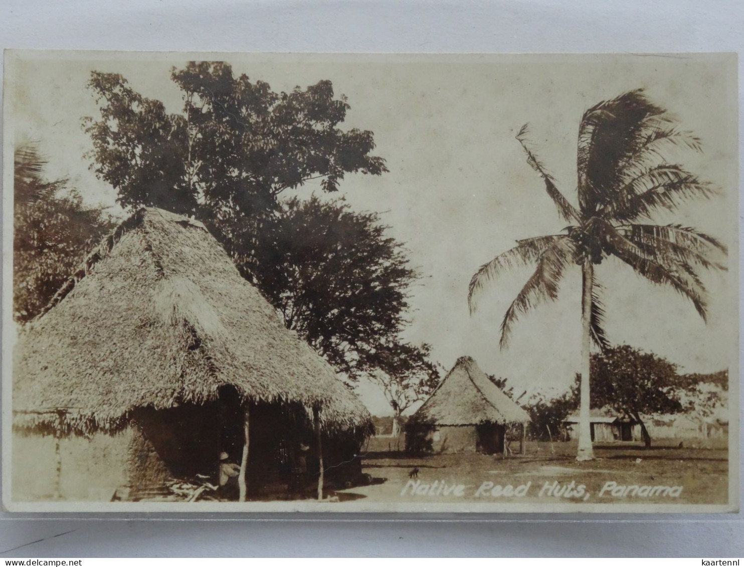 PANAMA NATIVE REED HUTS  Real  Photocard  NO49 - Panama