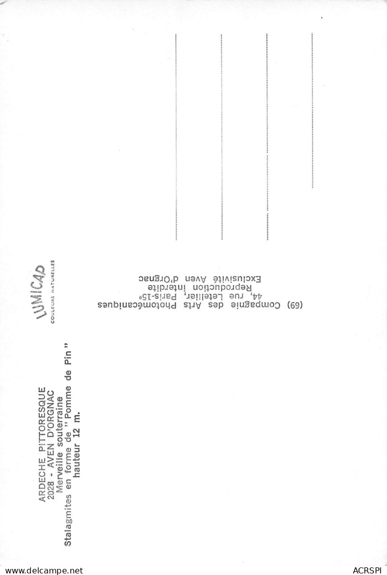 07 AVEN D' ORGNAC  Stalagmite Pomme De Pin  20 (scan Recto Verso)MF2799BIS - Vallon Pont D'Arc