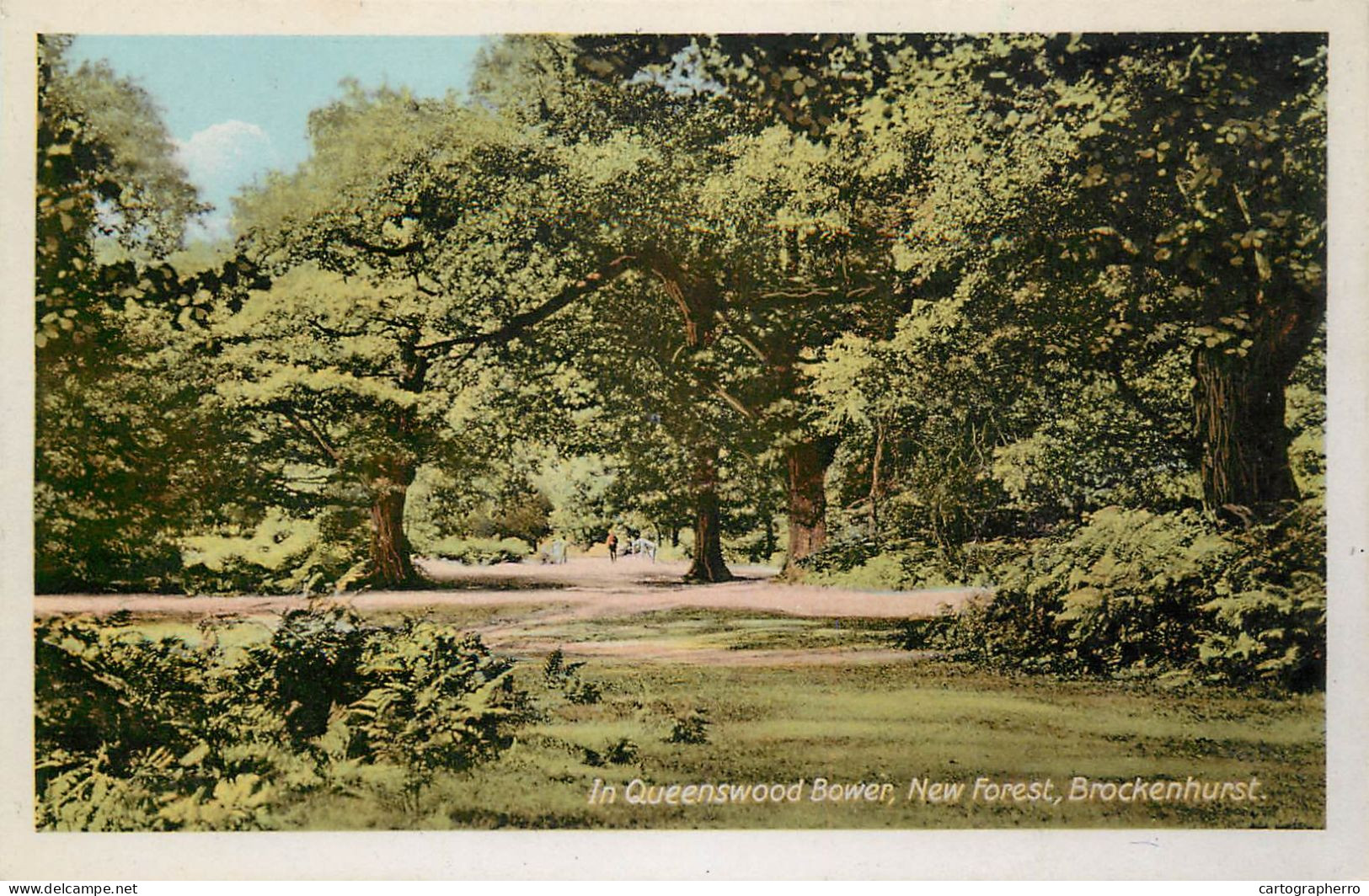 United Kingdom England In Queenswood Bower New Forest - Other & Unclassified