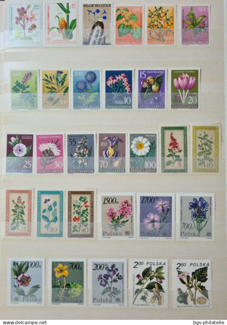 Collection de timbres sur le thème des Arbres.