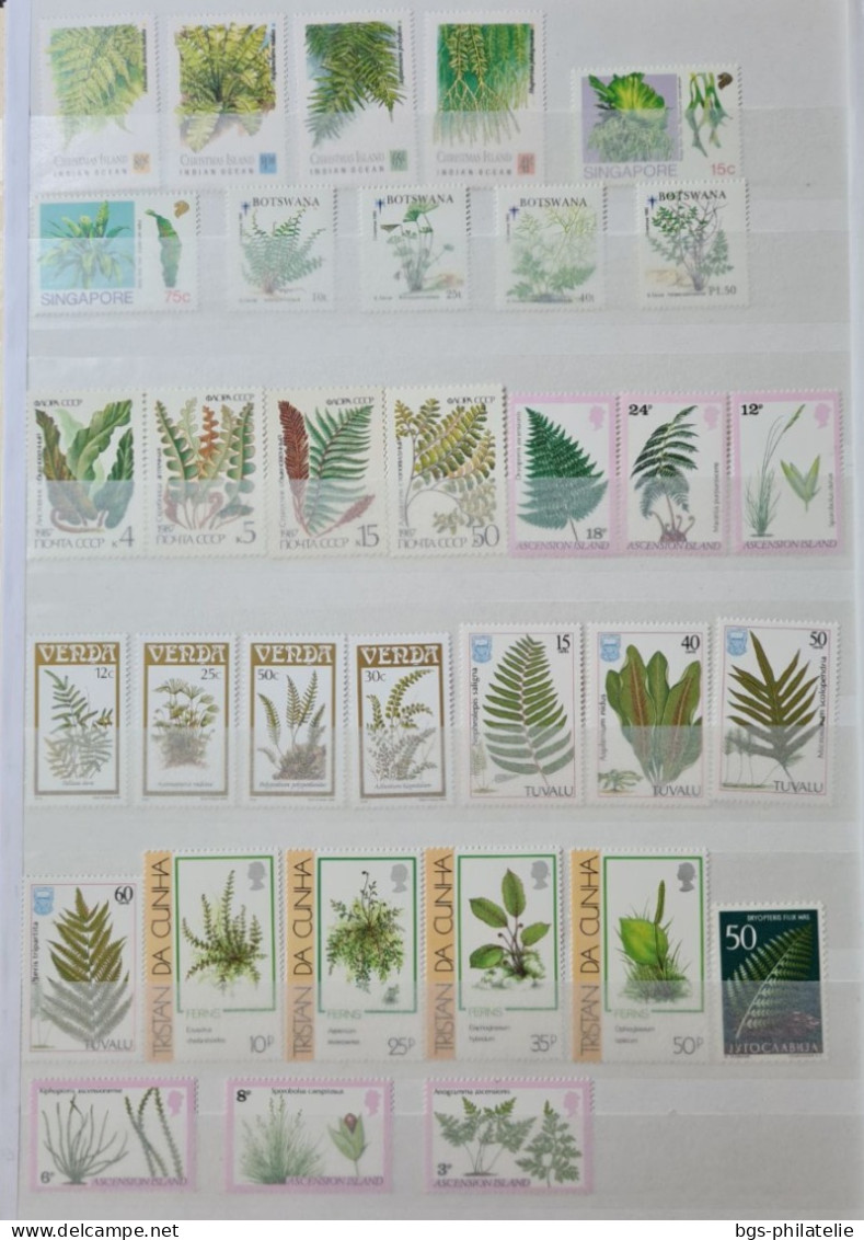 Collection de timbres sur le thème des Arbres.