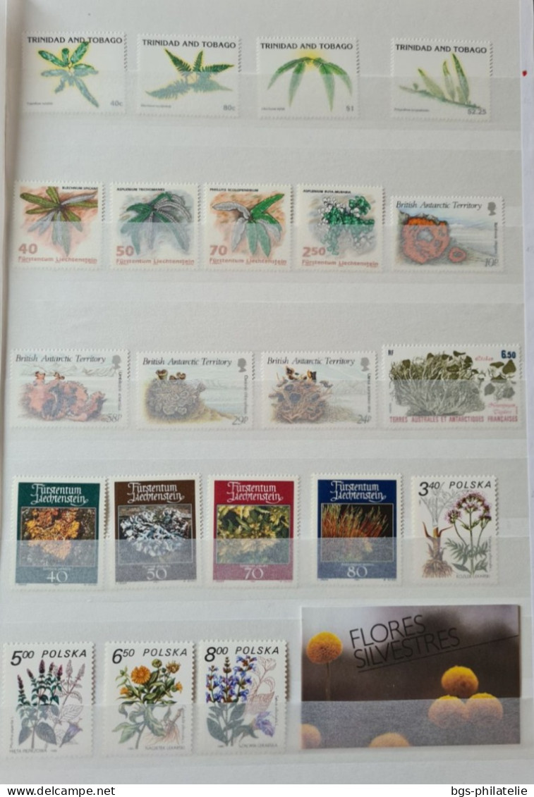 Collection de timbres sur le thème des Arbres.