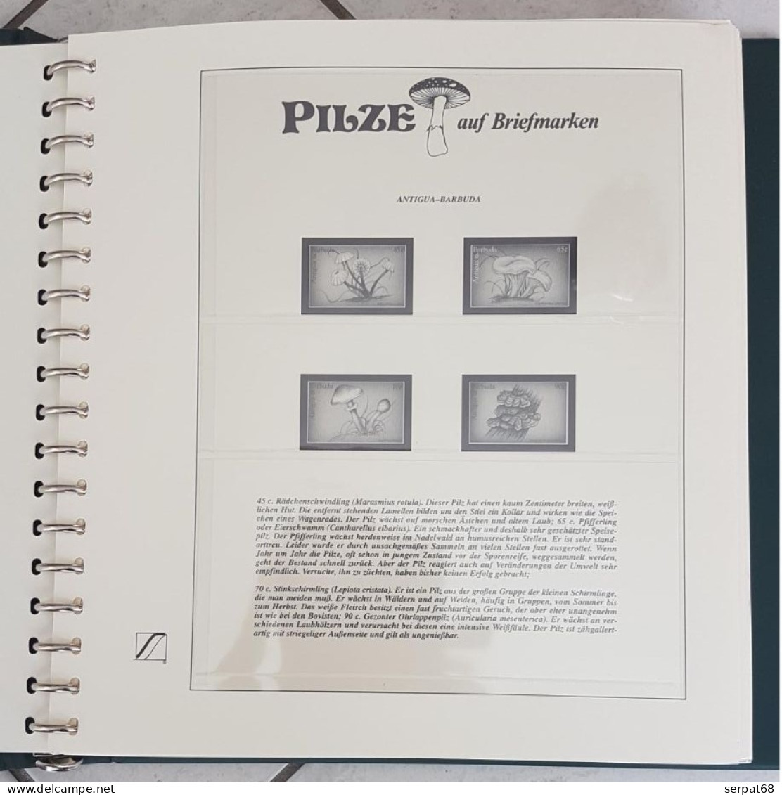 Album Pré-imprimé Pour Timbres Champignons - Pilze Auf Briefmarken - Hongos