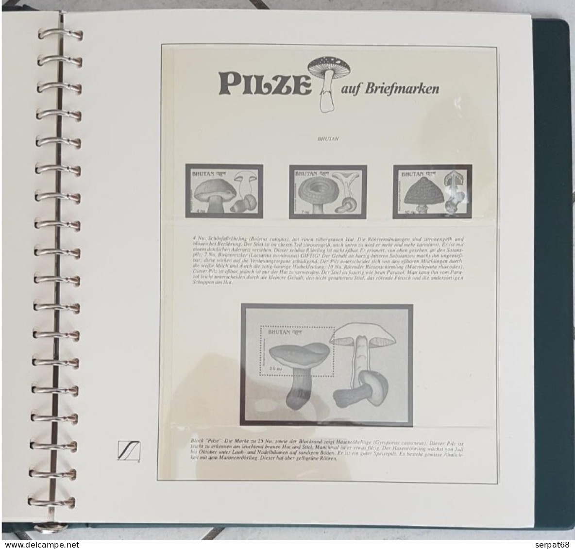 Album Pré-imprimé Pour Timbres Champignons - Pilze Auf Briefmarken - Mushrooms