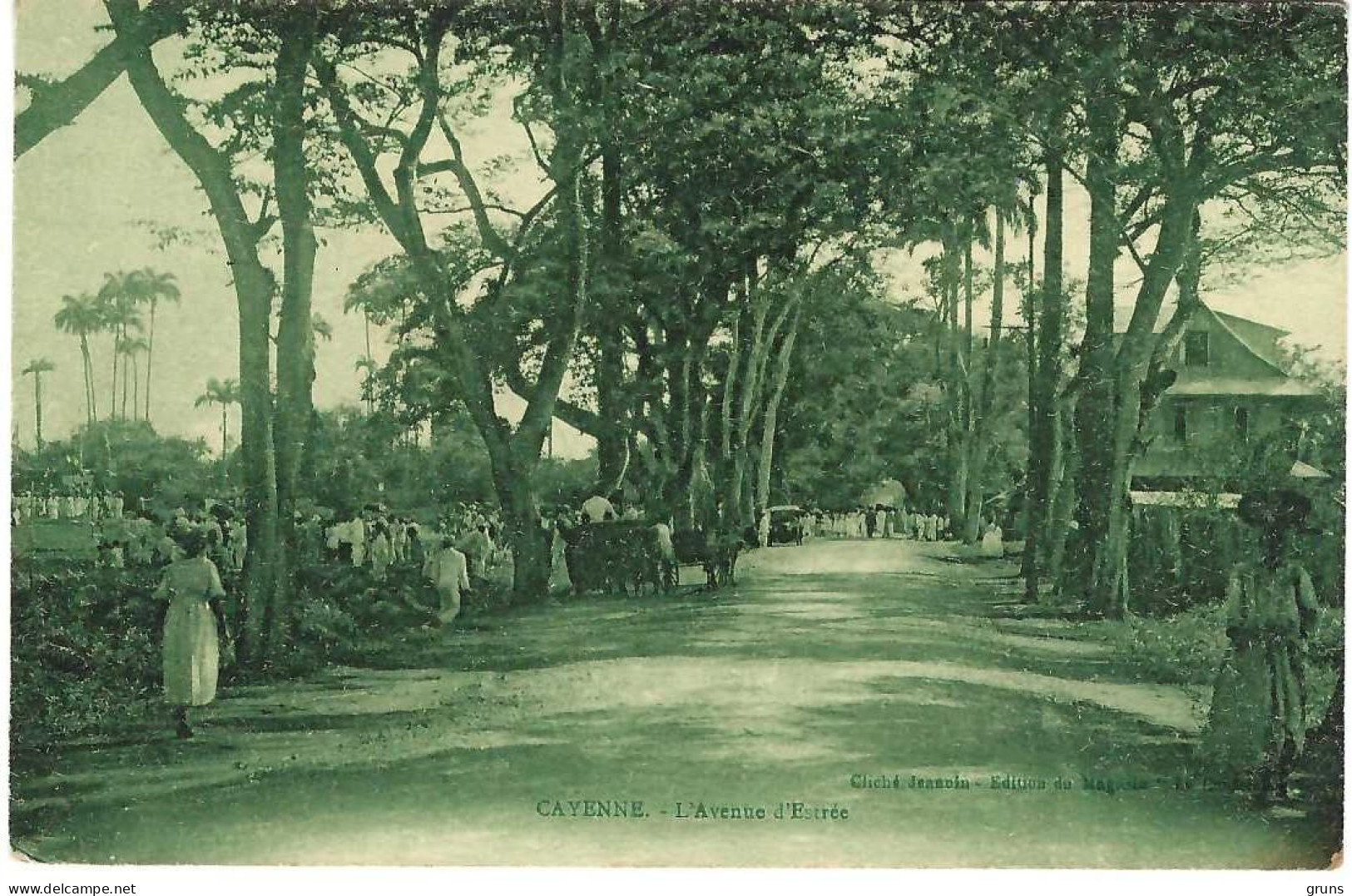 Cayenne L'avenue D'Estrée - Cayenne