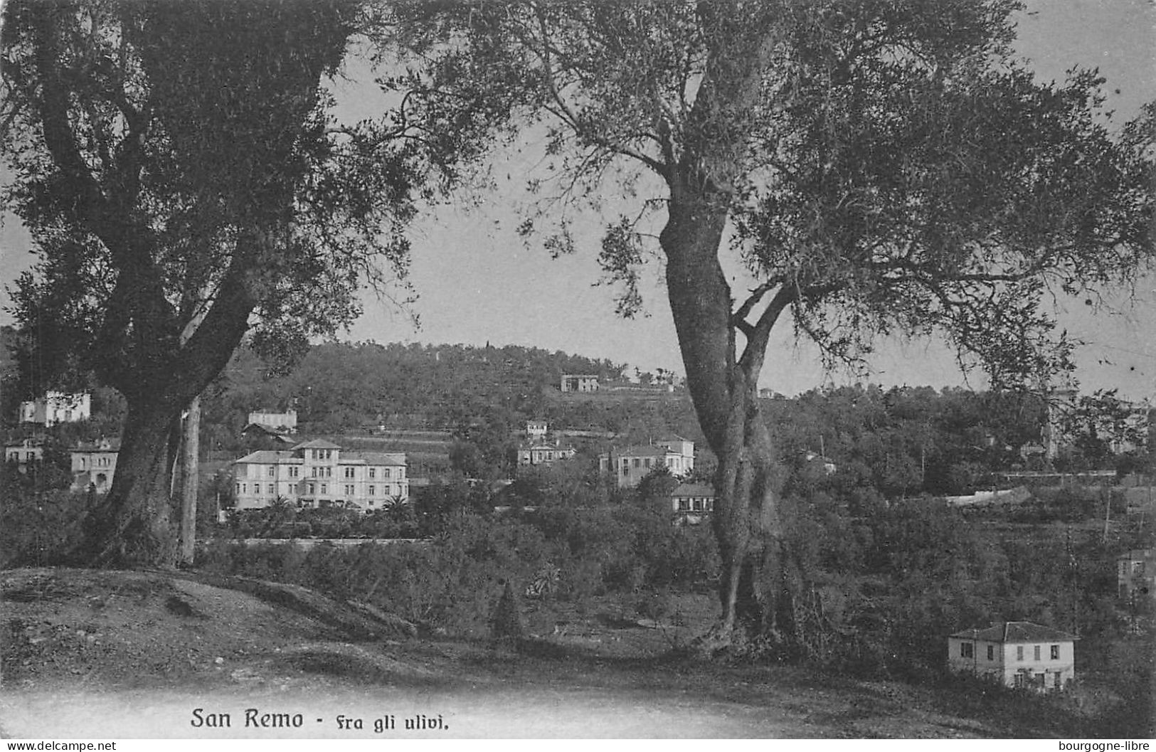 ITALIE SAN REMO FRA GLI ULIVI - San Remo