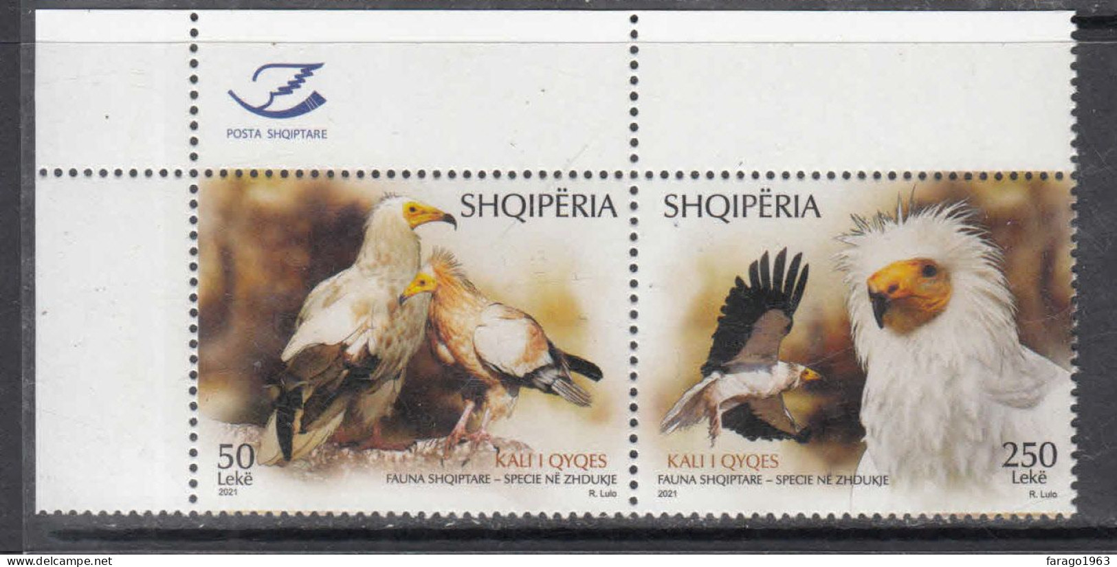 2021 Albania Endangered Species Birds Of Prey Vultures  Complete Pair MNH - Albanie