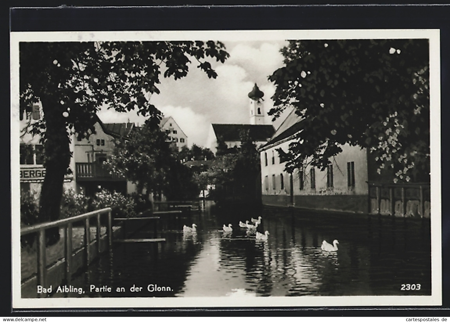 AK Bad Aibling, Schwäne In Der Glonn  - Glonn