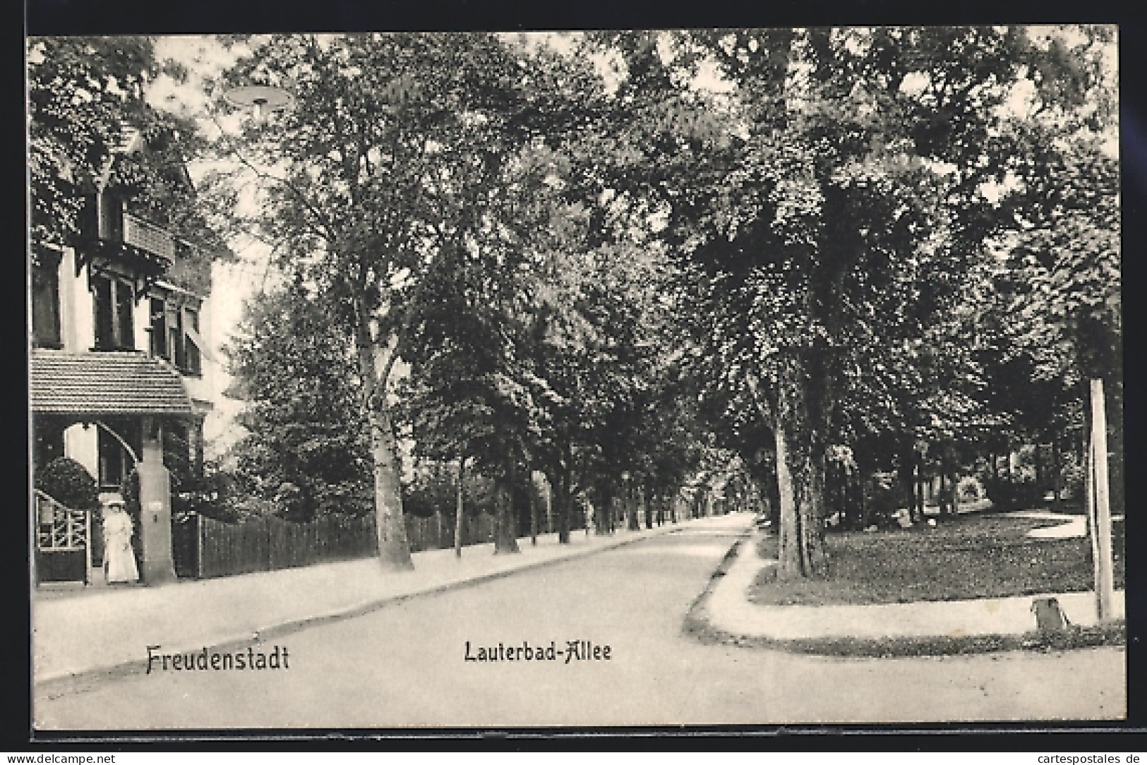 AK Freudenstadt, Lauterbad-Allee Mit Grossen Bäumen Und Wohnhaus  - Freudenstadt