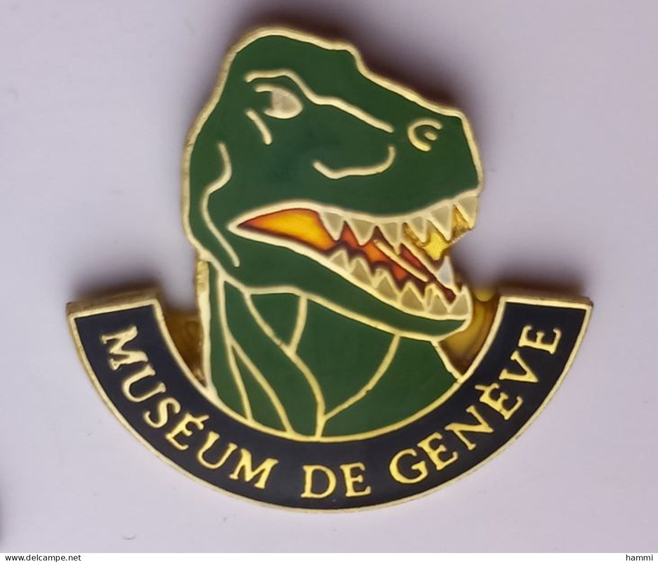 G378 Pin's Dinosaure Préhistoire Musée Muséum De Genève Suisse Achat Immédiat - Städte