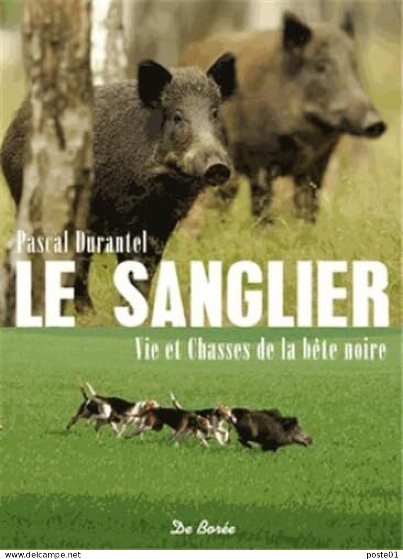 Sanglier Vie Et Chasses De La Bete Noire (le) - Natualeza