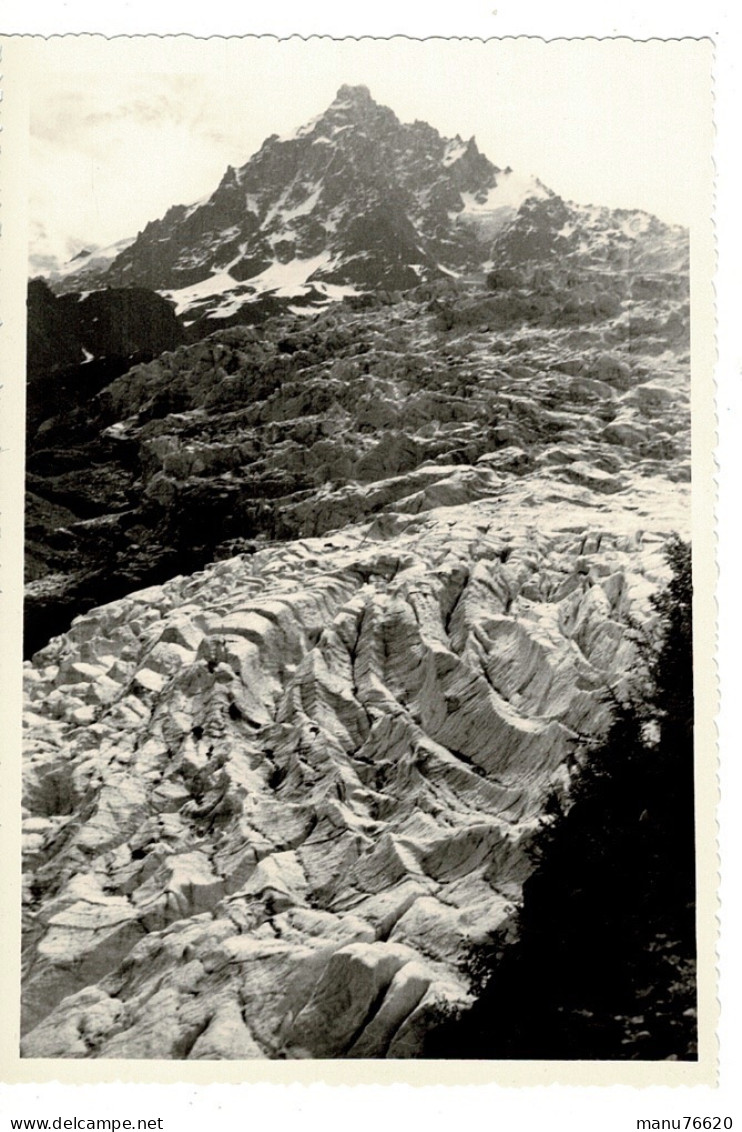 Ref 1 - Photo + Négatif : Chamonix , Glacier Des Bossons - France . - Europa