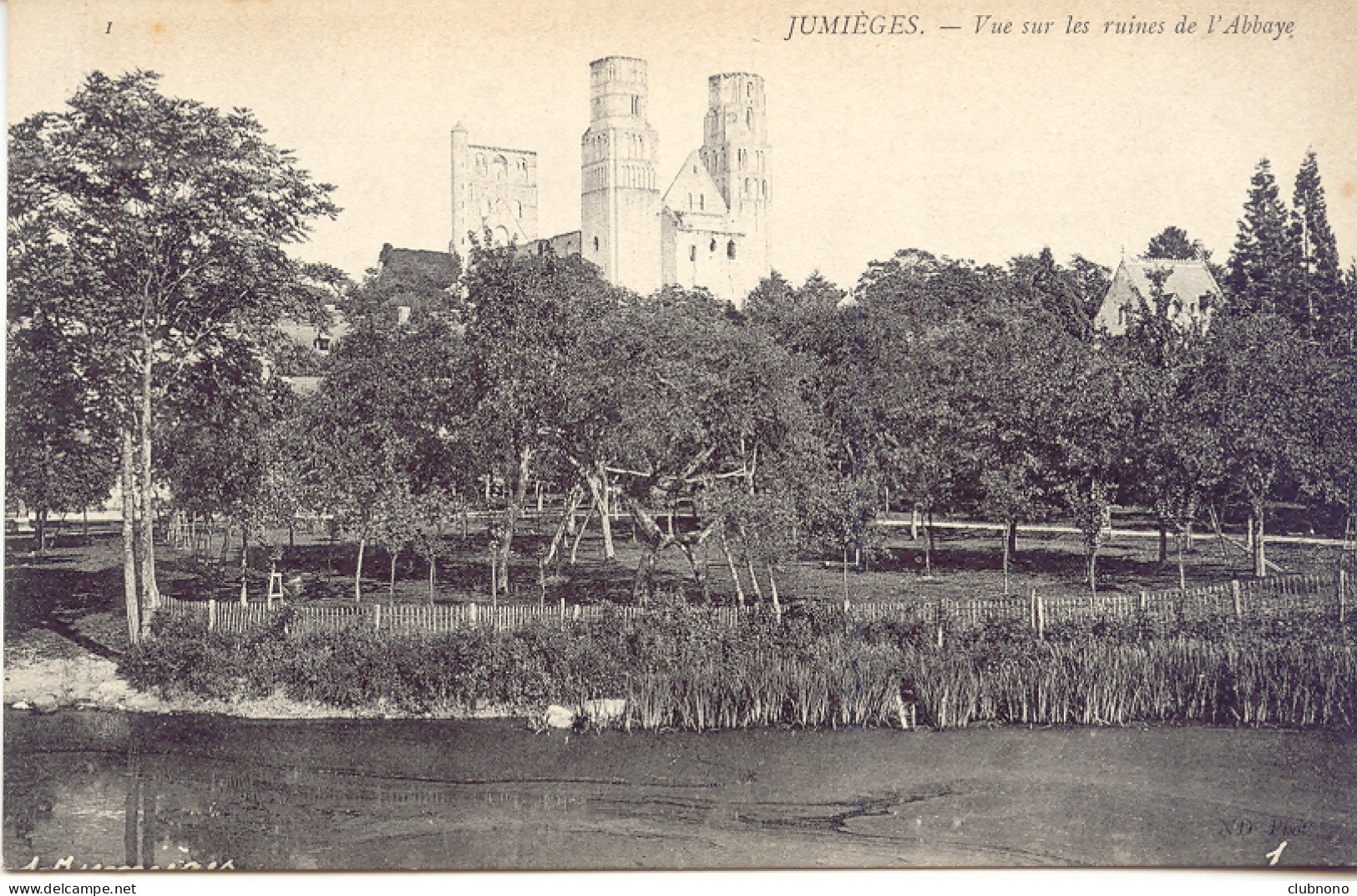 CPA -JUMIEGES - VUE SUR LES RUINES DE L'ABBAYE - Jumieges