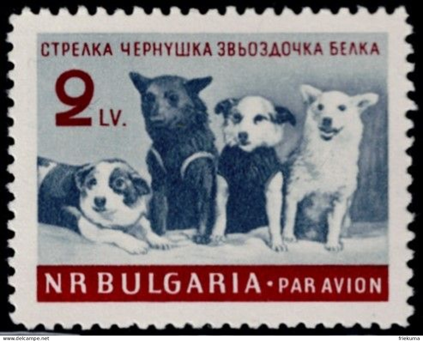 Bulgaria 1961, Soviet Cosmonaut Dogs: Cosmonaut Dogs "Strelka", "Chernushka", "Tsvdochka" And "Belka", MiNr. 1249 - Perros